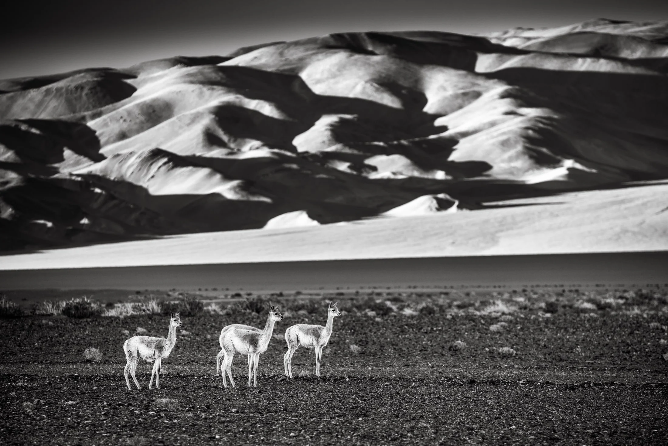 Black and white landscape photograph