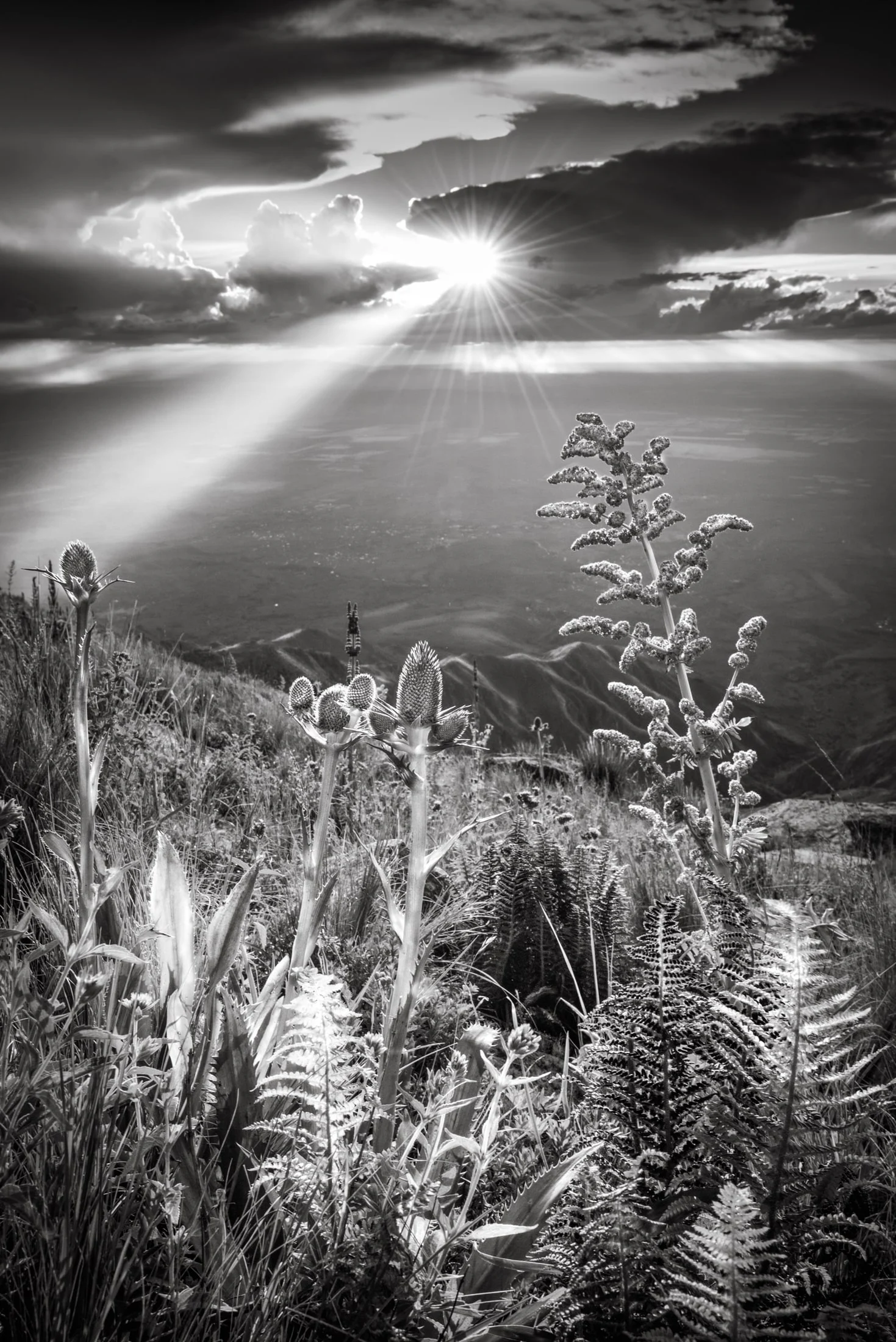 Black and white landscape photograph
