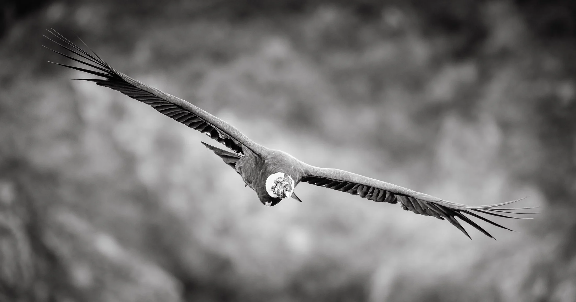 Black and white landscape photograph