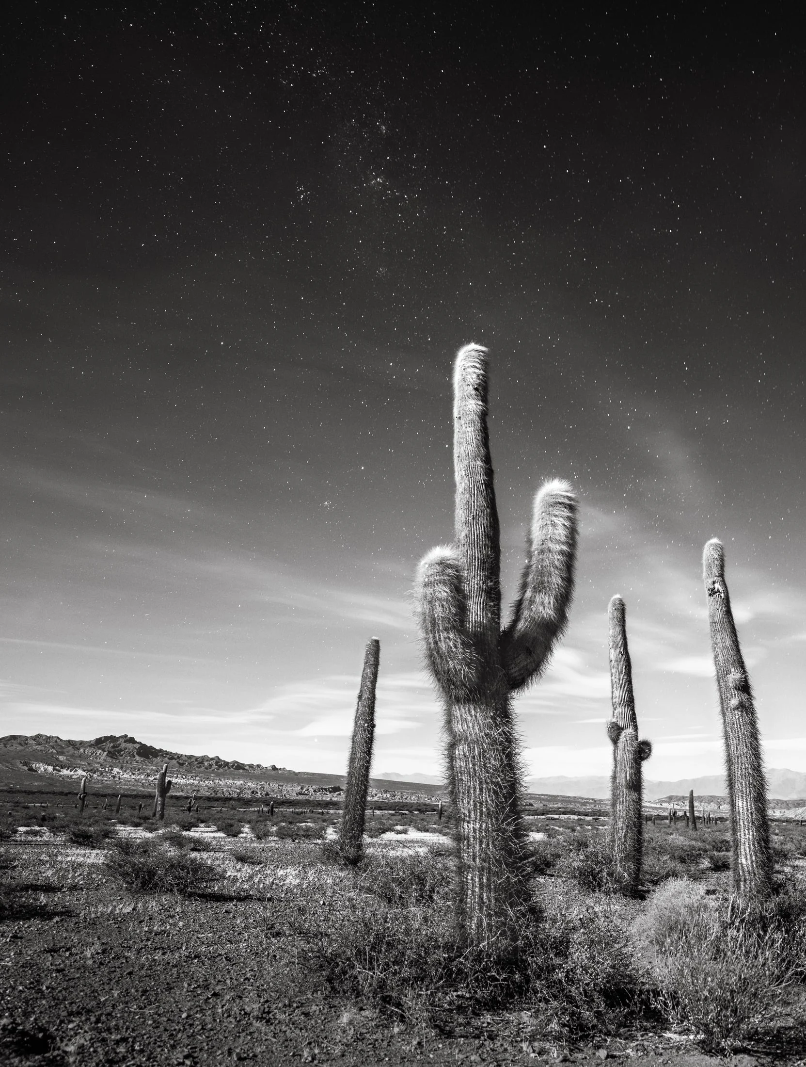 Black and white landscape photograph