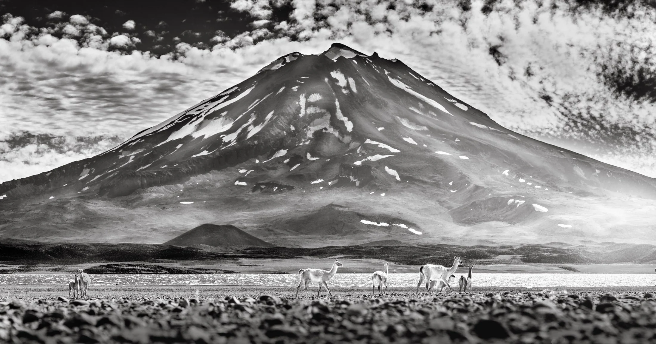 Black and white landscape along Ruta 40