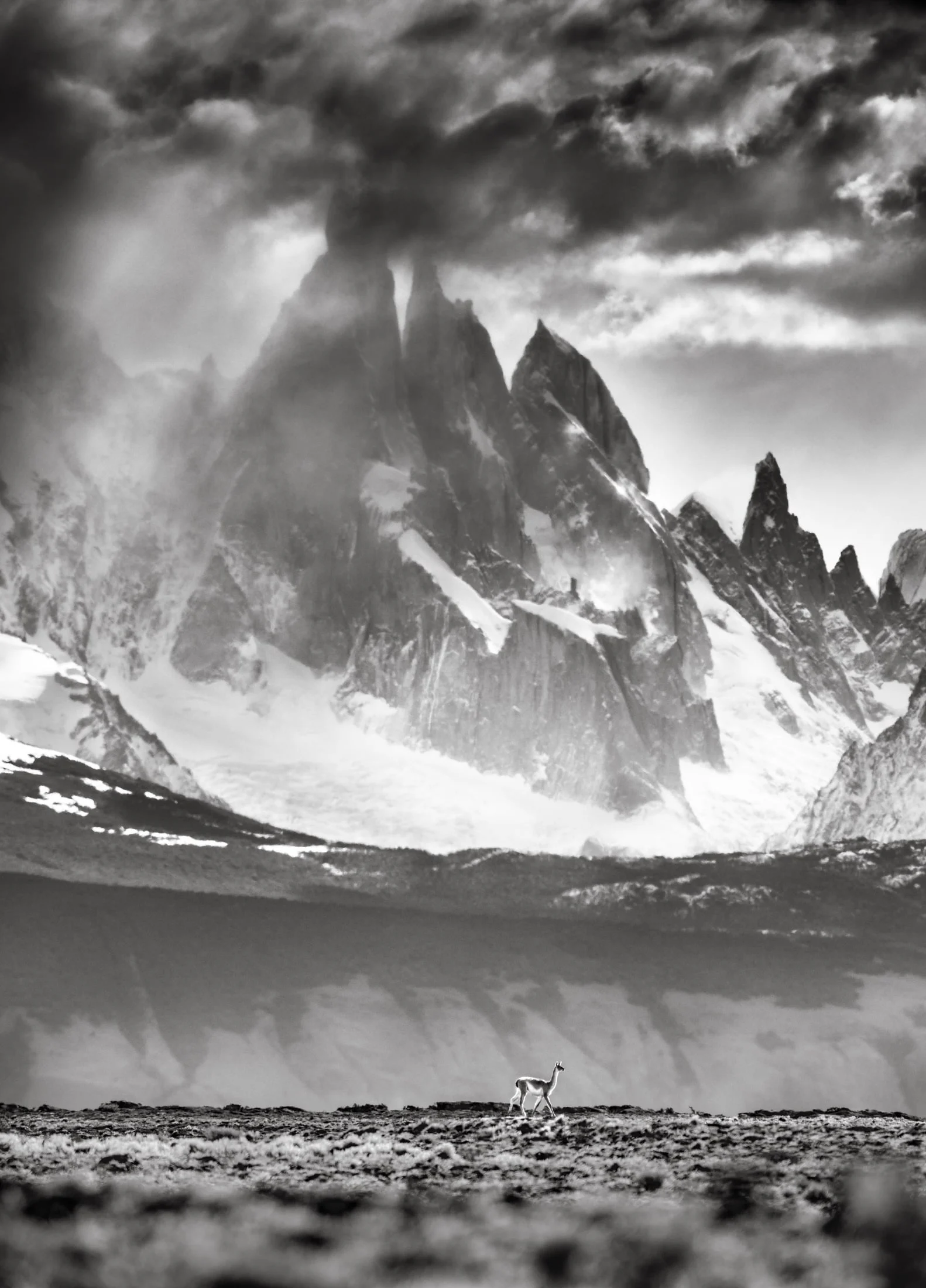 Black and white landscape photograph