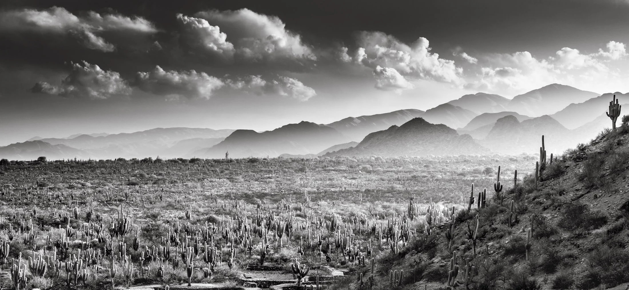 Black and white landscape photograph