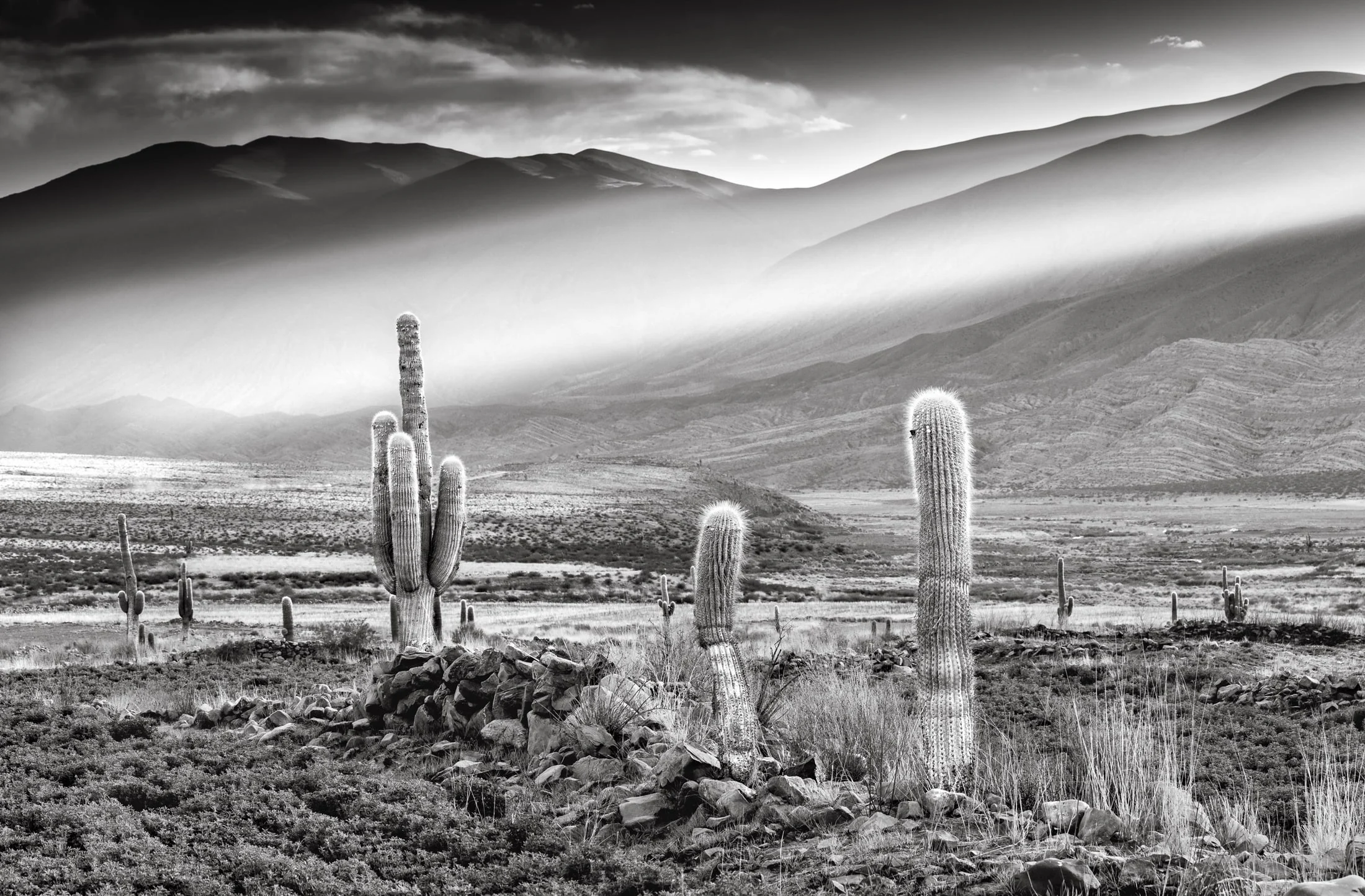 Black and white mountain landscape