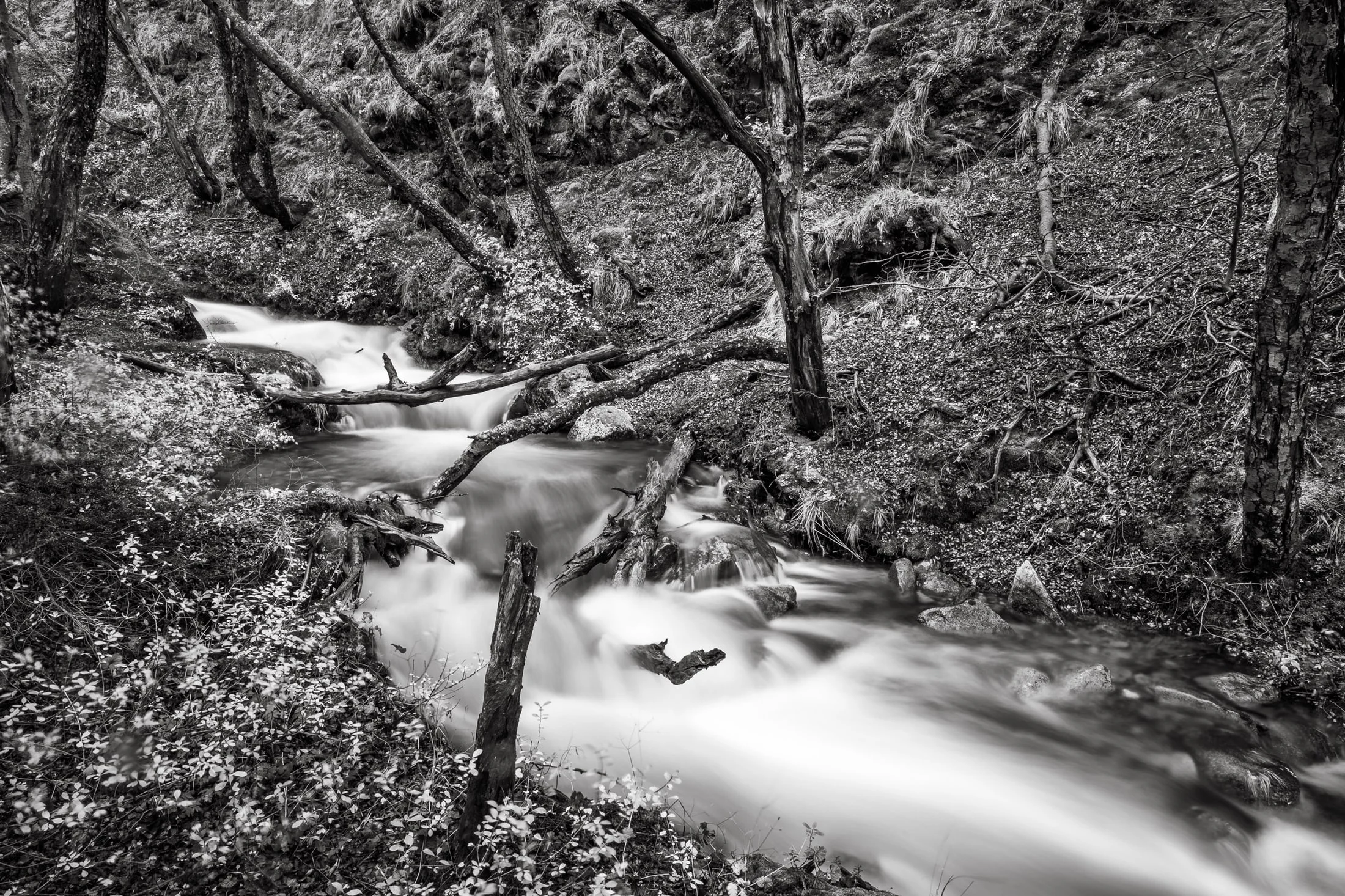 Black and white landscape photograph