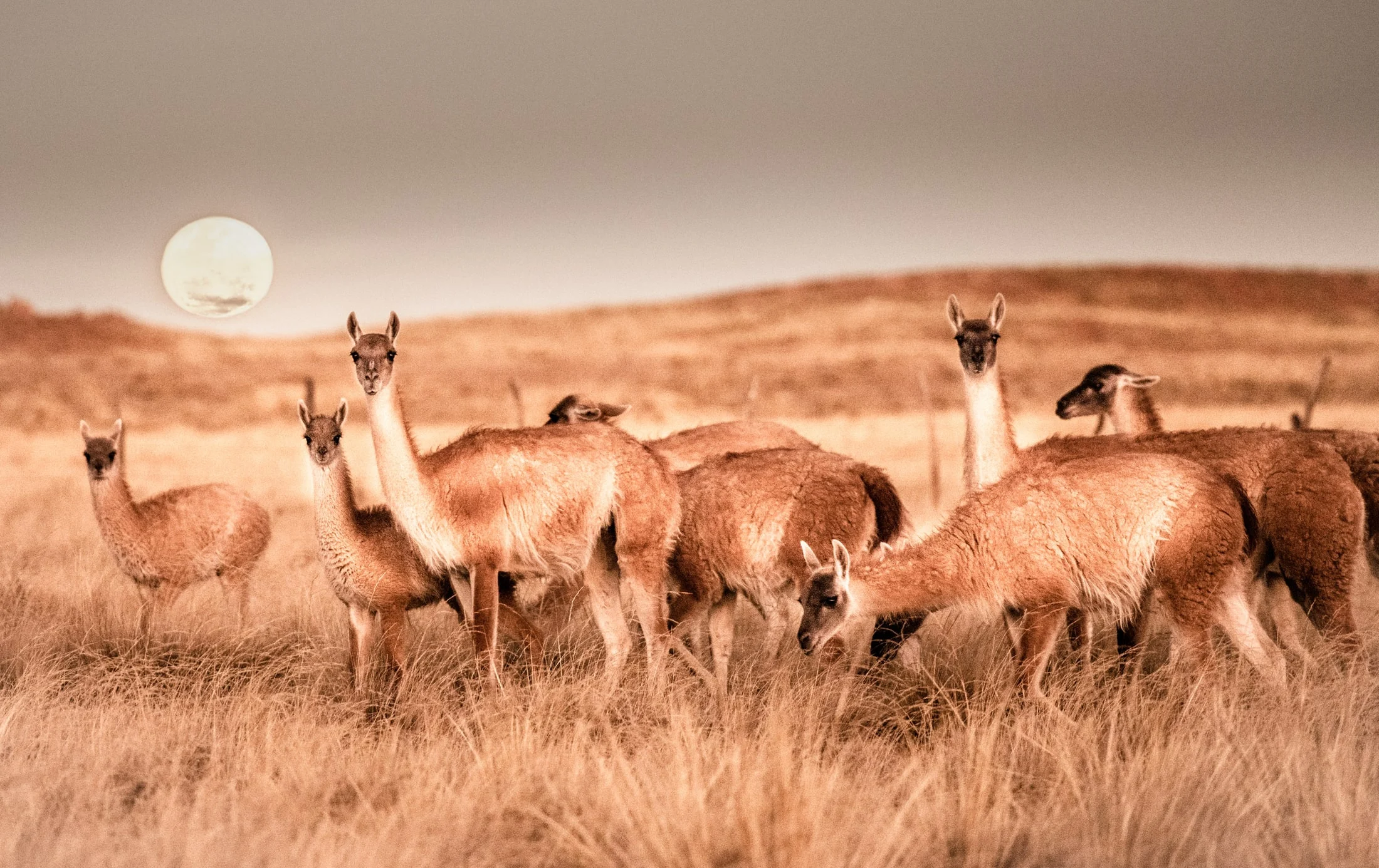 Color landscape photograph