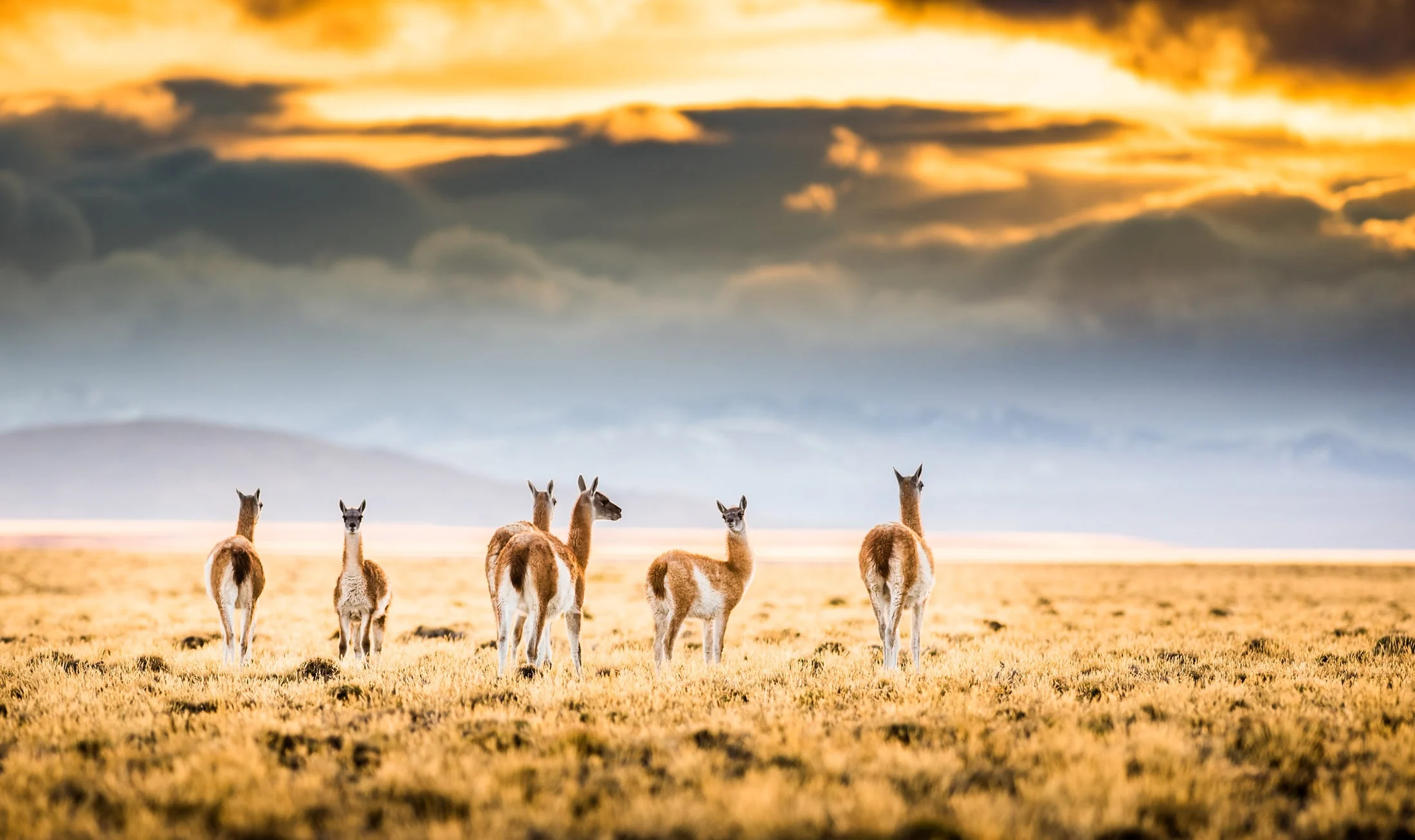 Color landscape photograph