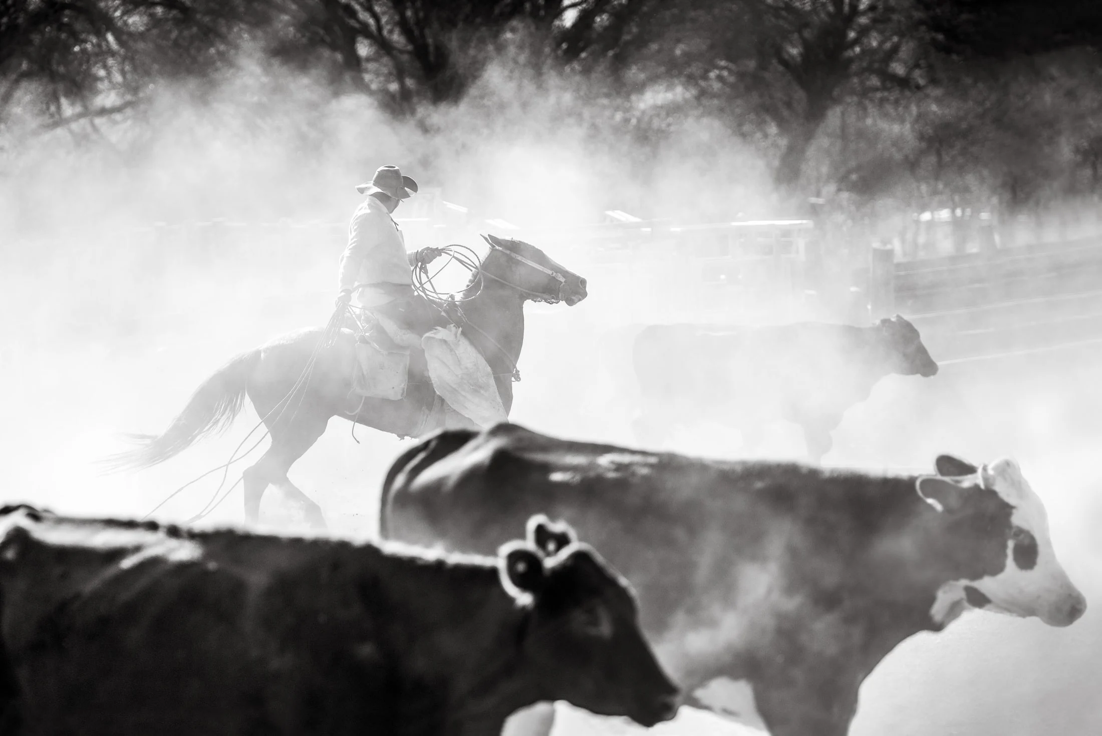 Gaucho and rural life in Argentina