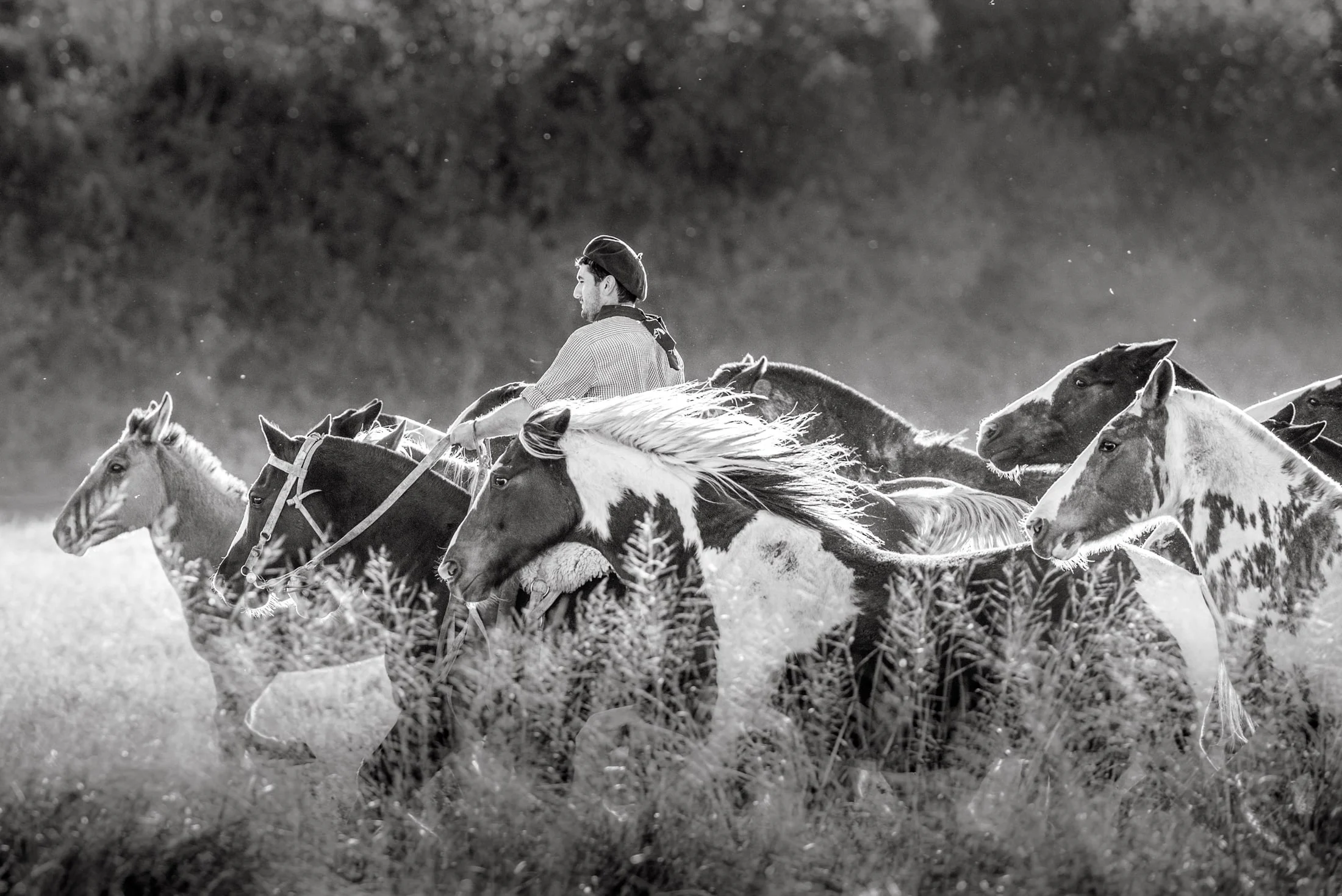 Gaucho and rural life in Argentina