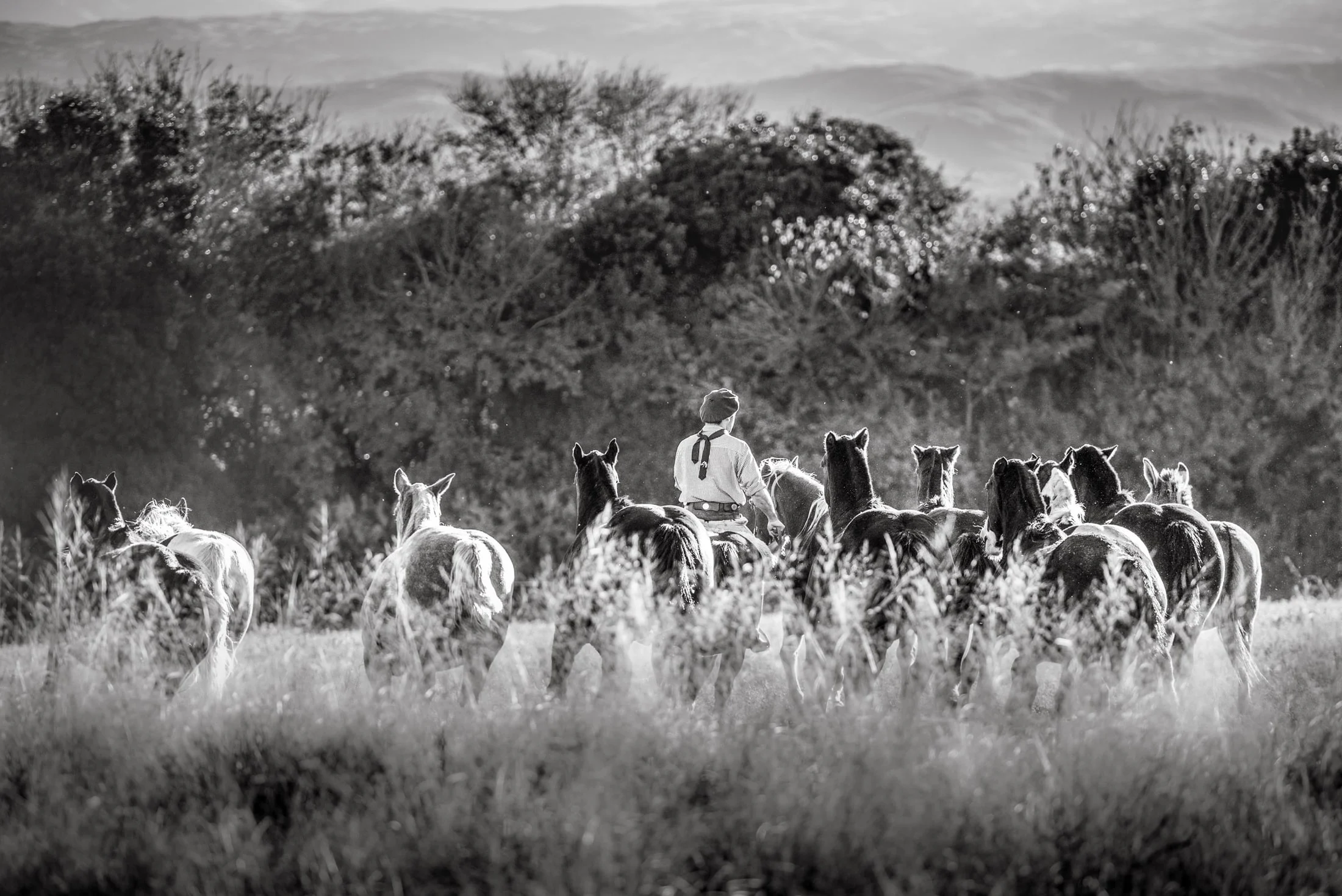 Gaucho and rural life in Argentina