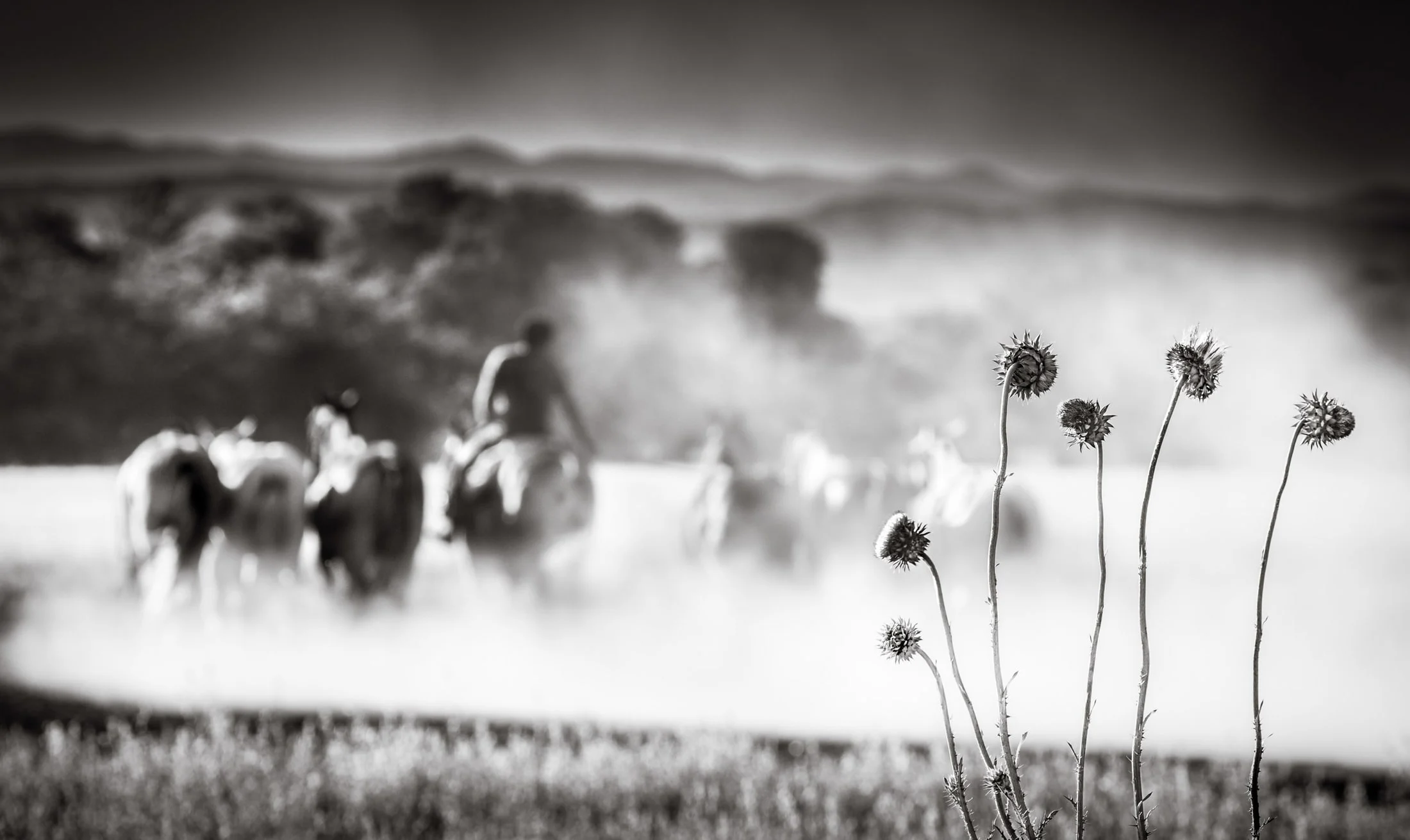 Gaucho and rural life in Argentina