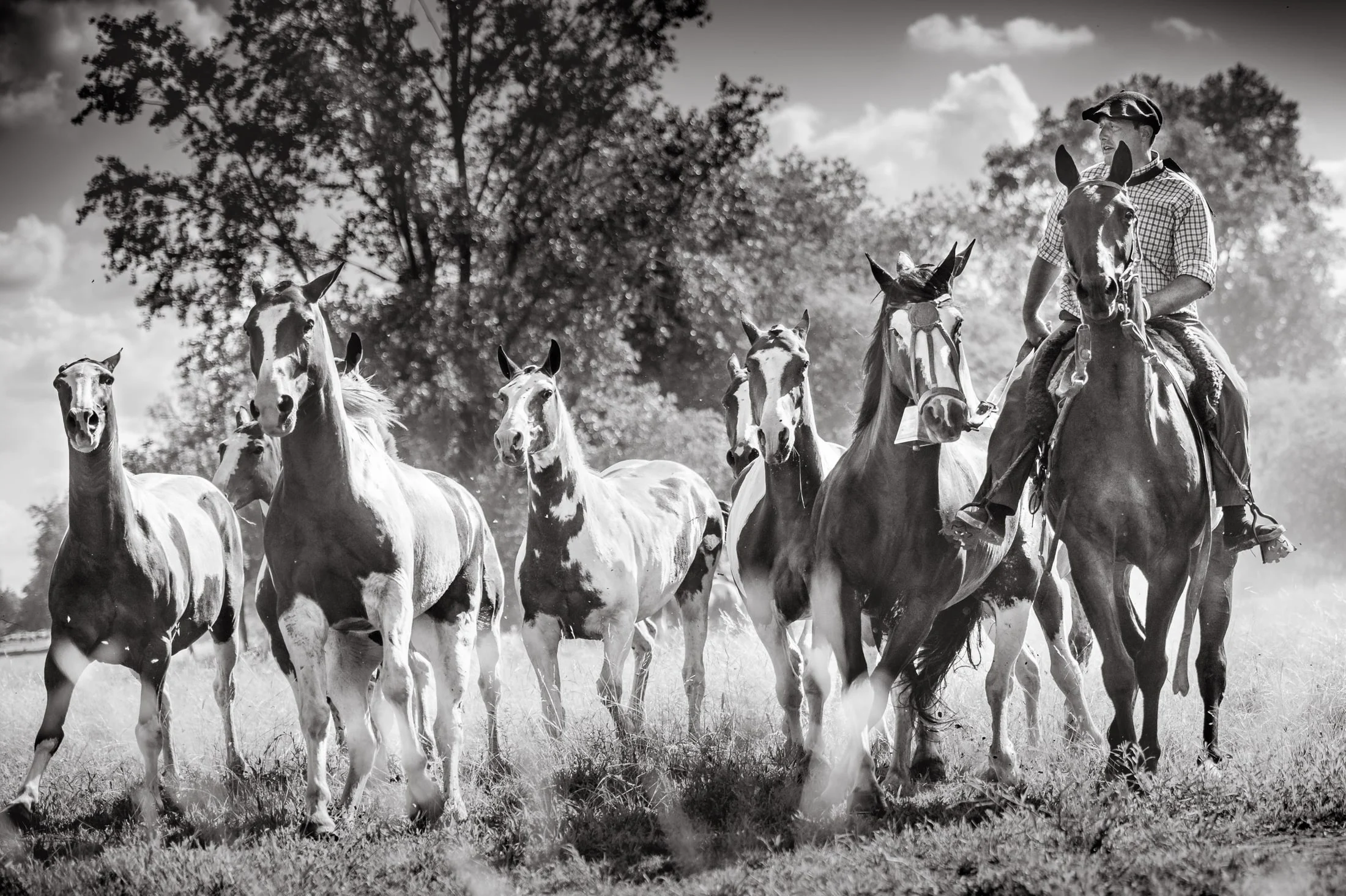 Gaucho and rural life in Argentina