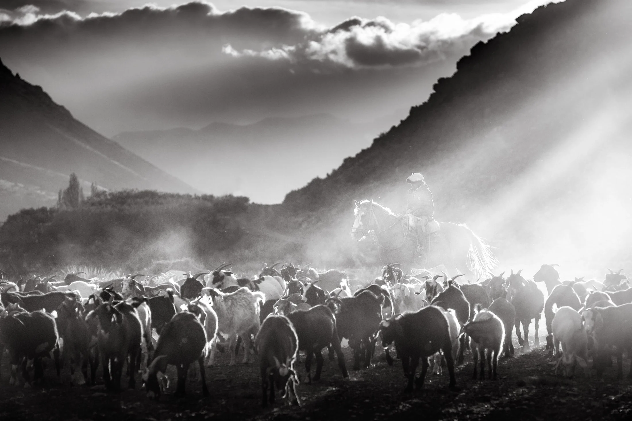 Gaucho and rural life in Argentina