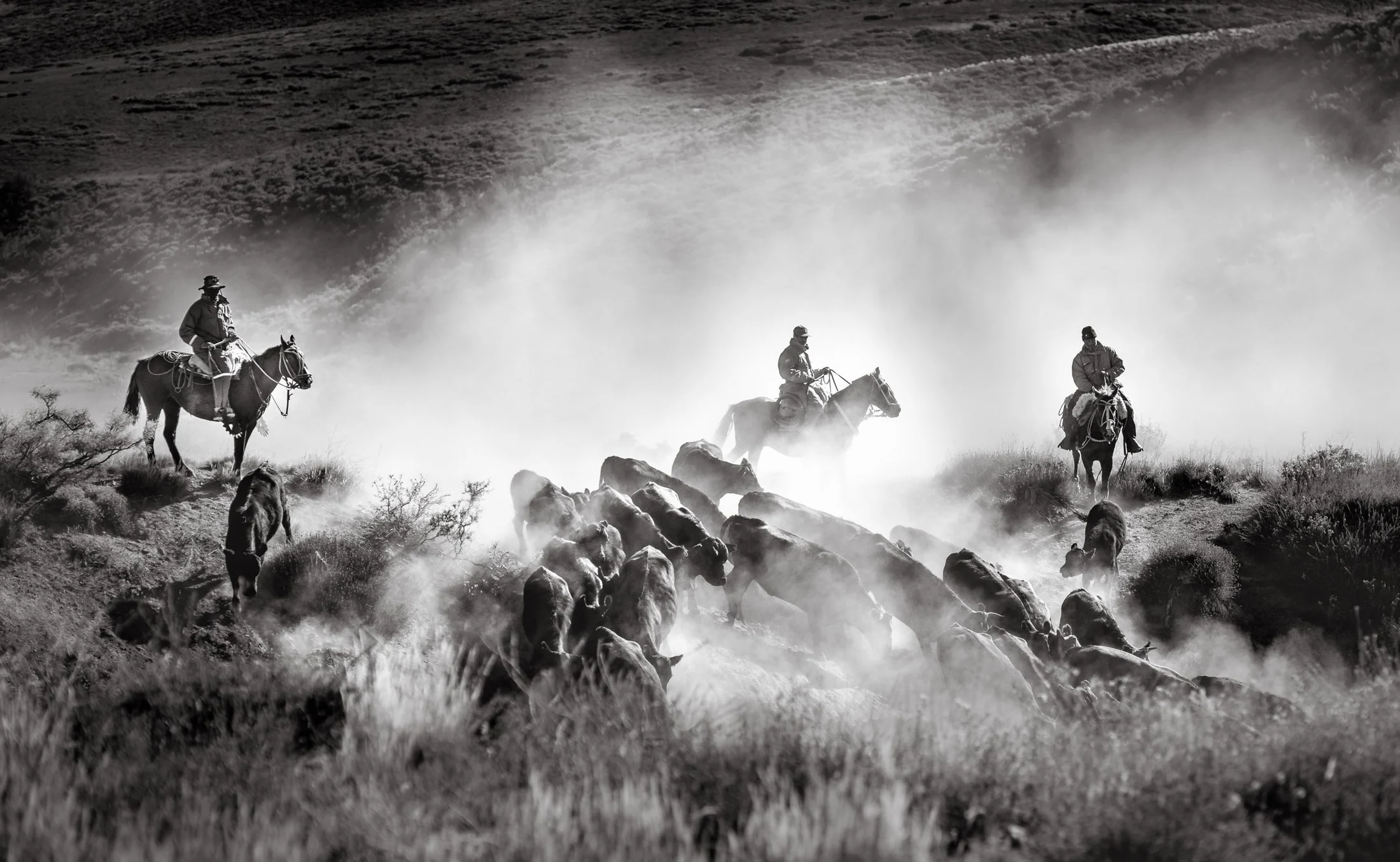 Gaucho and rural life in Argentina
