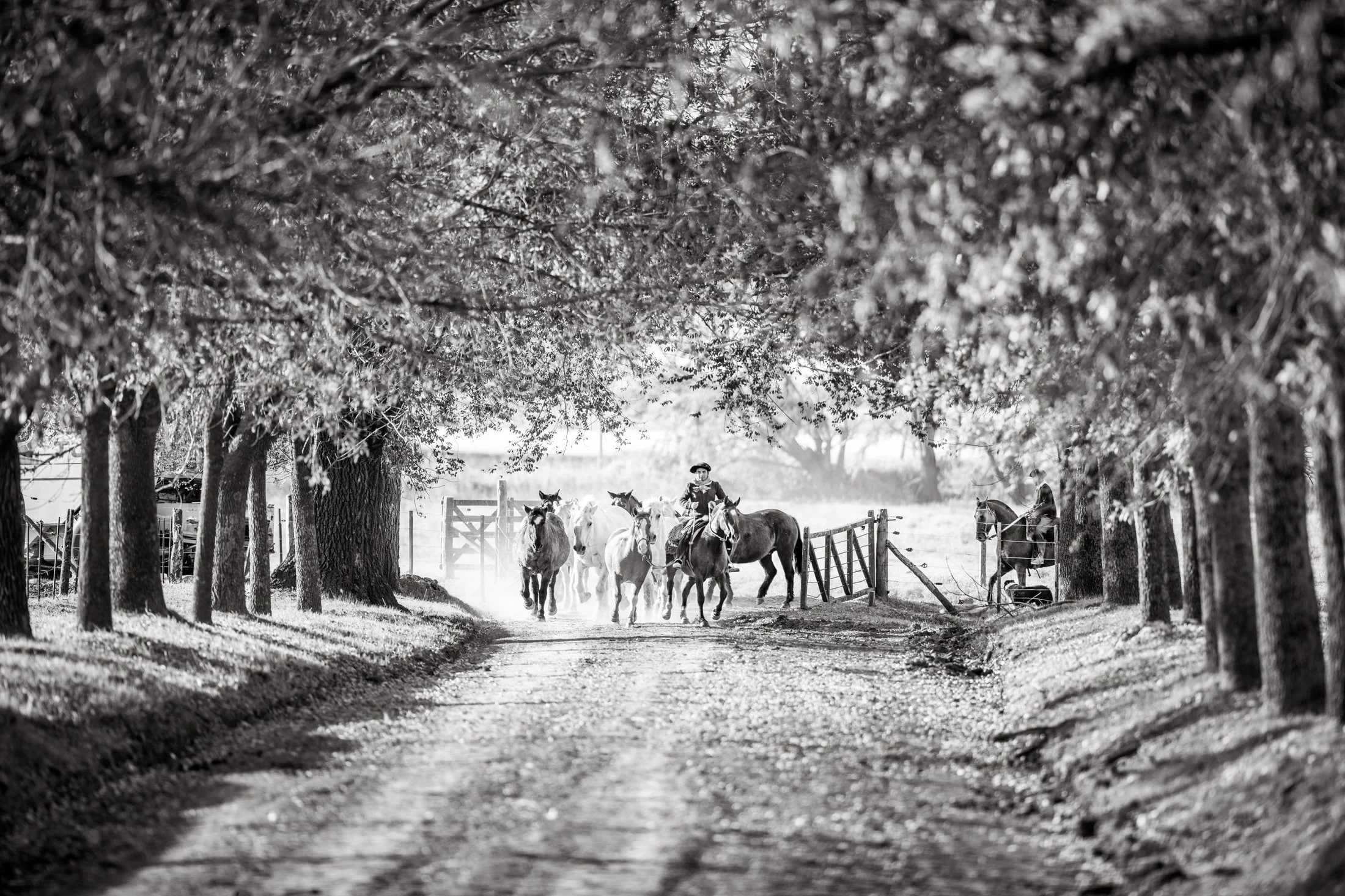 Gaucho and rural life in Argentina