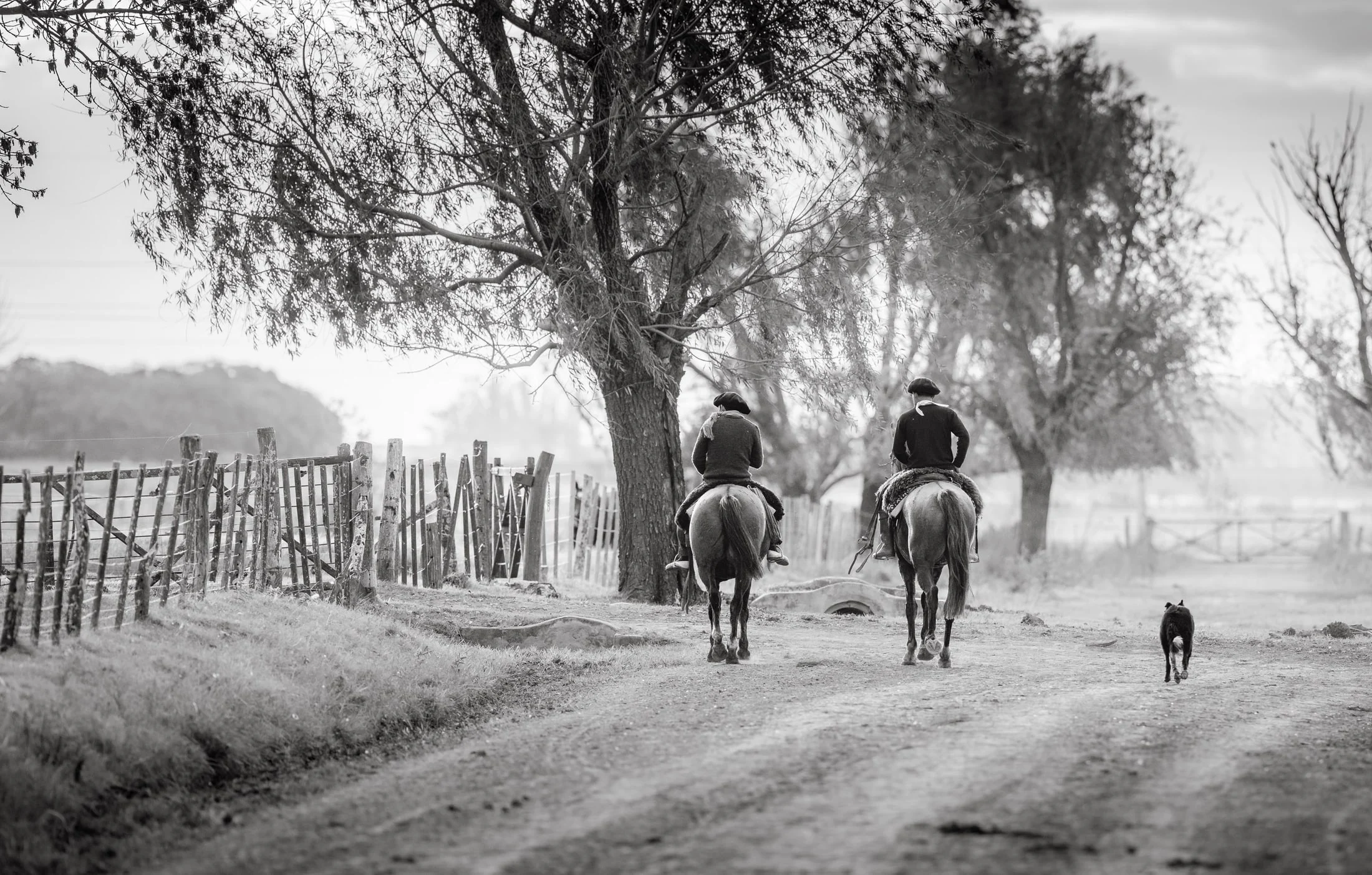 Gaucho and rural life in Argentina