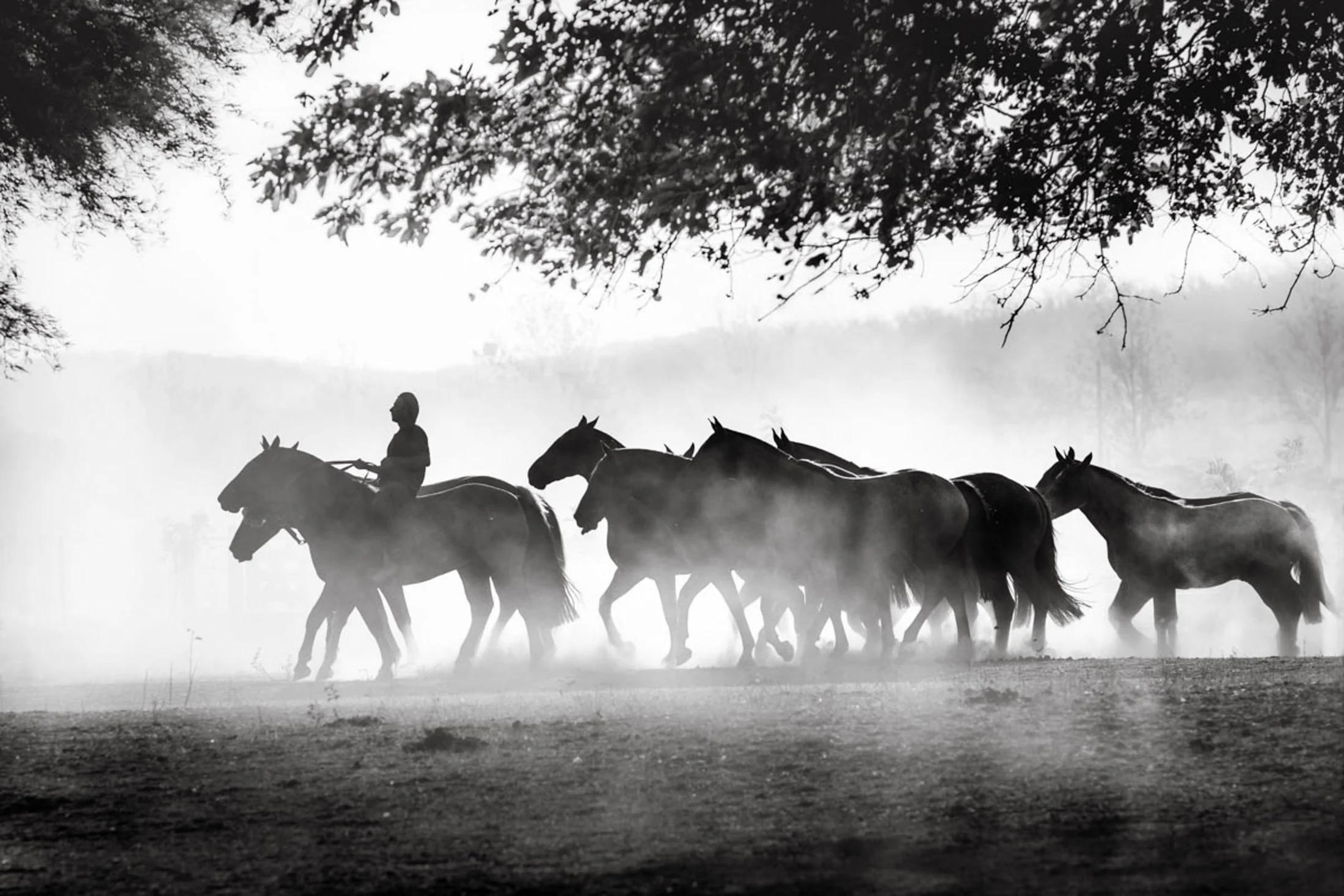 Gaucho and rural life in Argentina