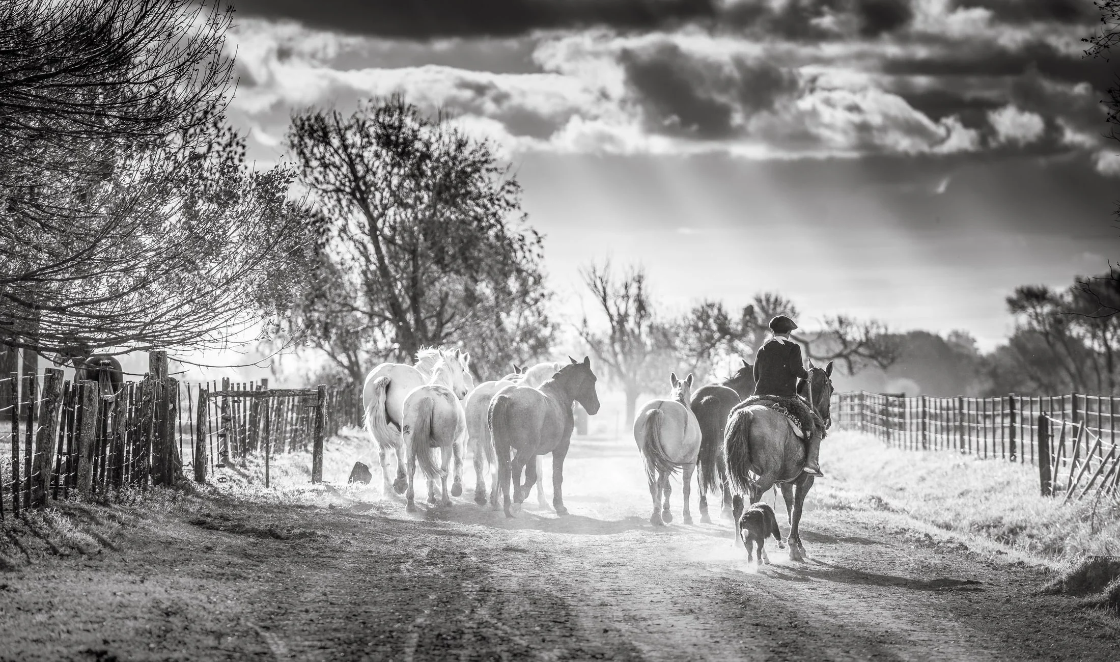 Gaucho and rural life in Argentina