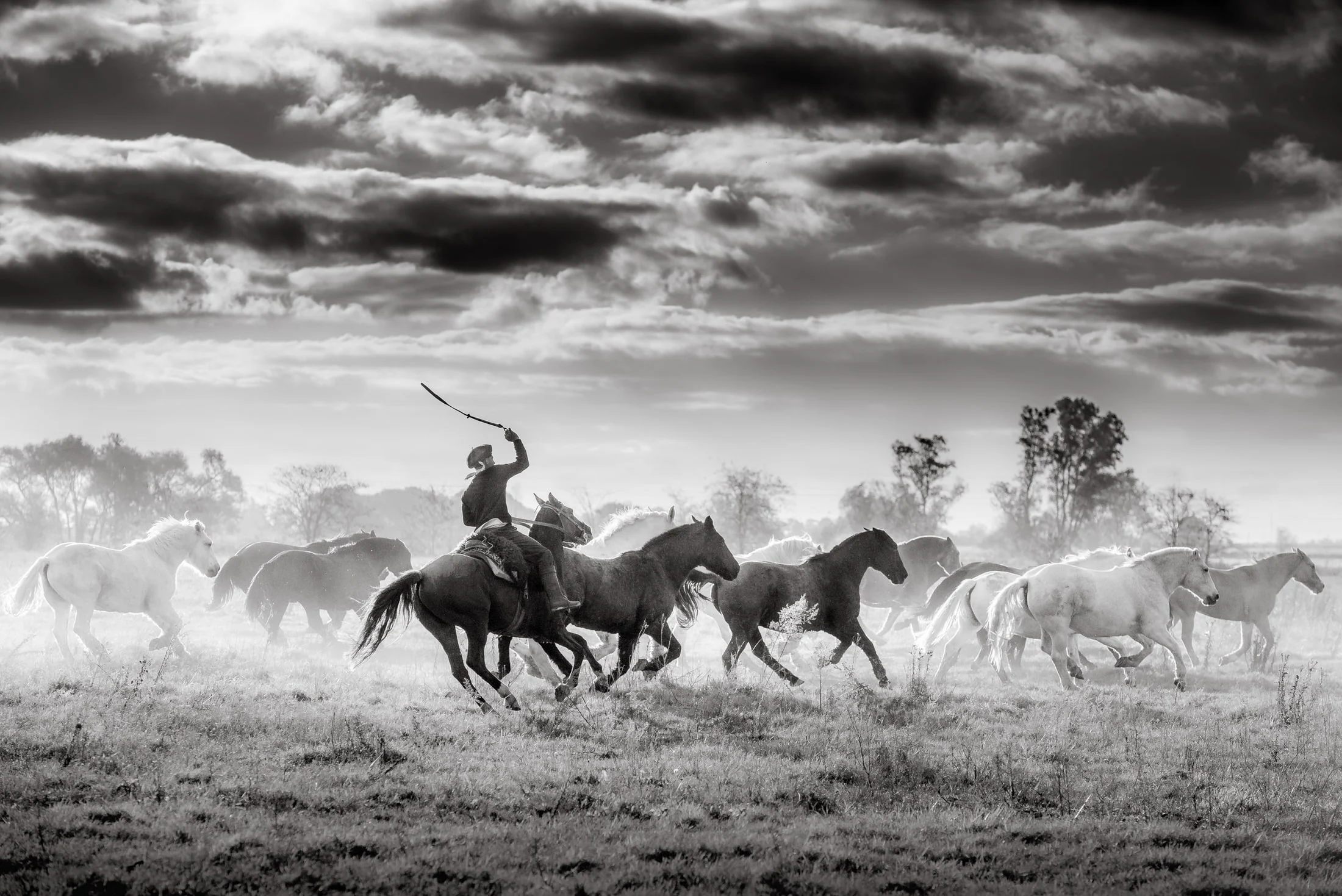 Gaucho and rural life in Argentina