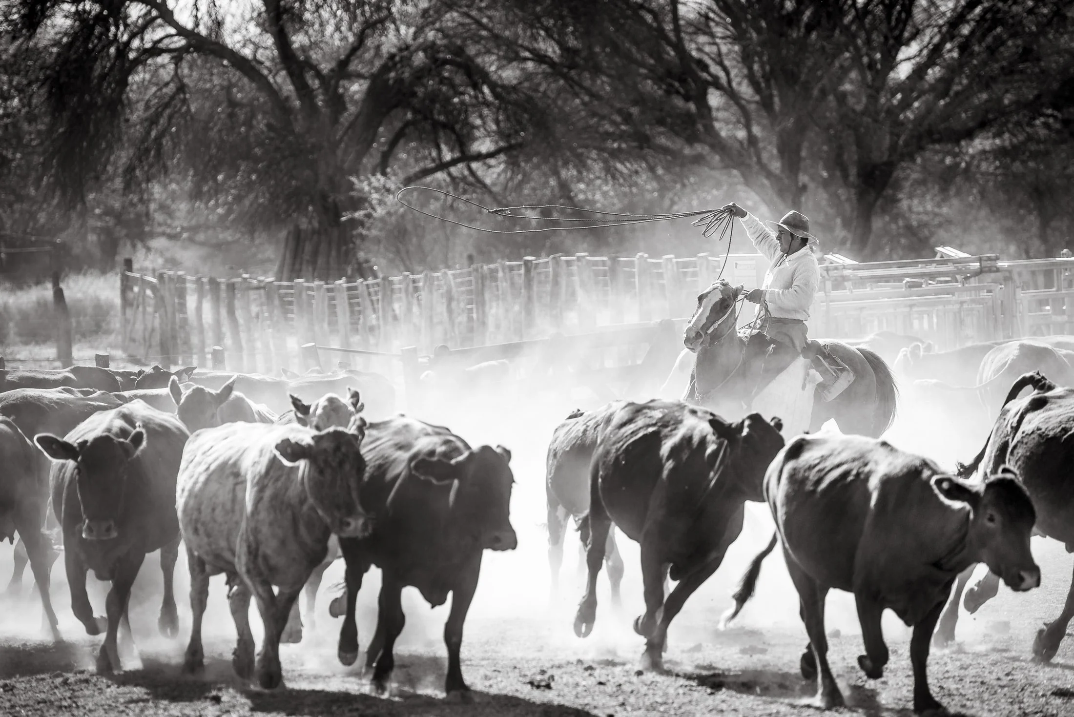 Gaucho and rural life in Argentina