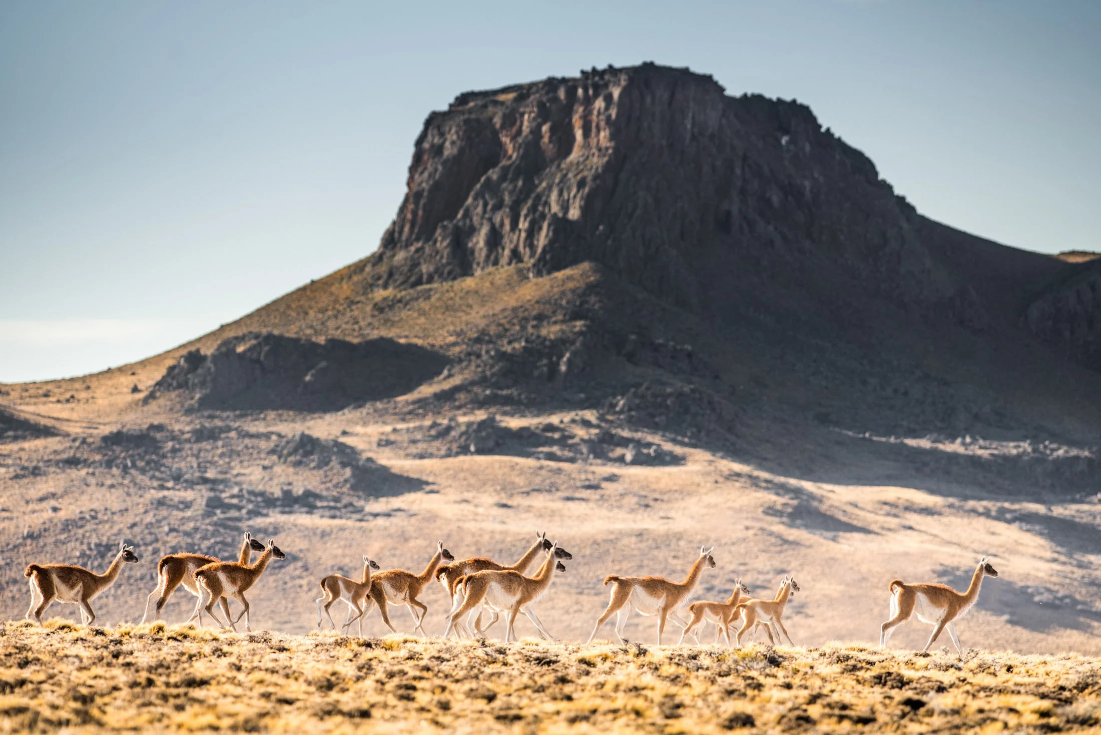 Landscape along Ruta 40, Argentina
