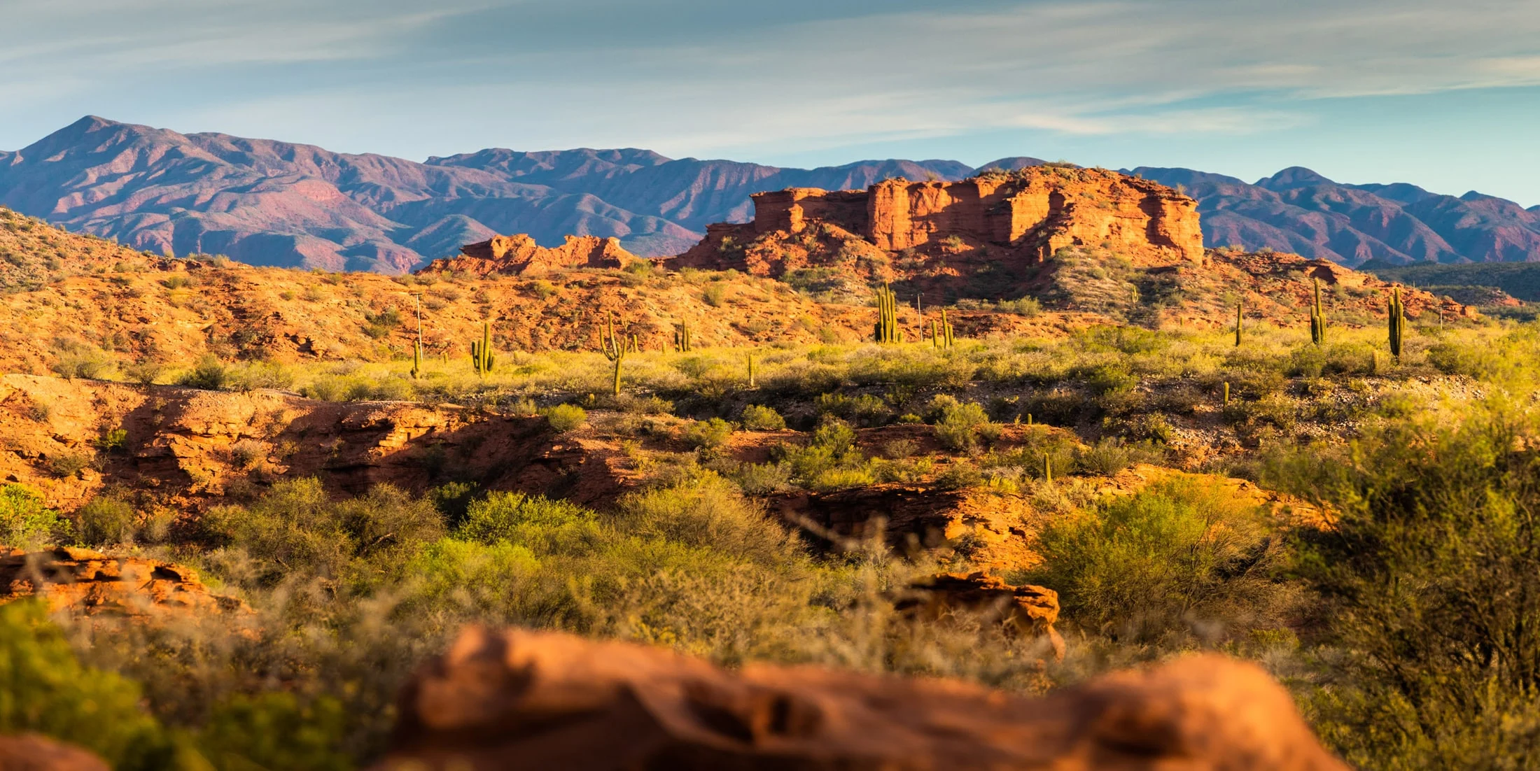 Landscape along Ruta 40, Argentina