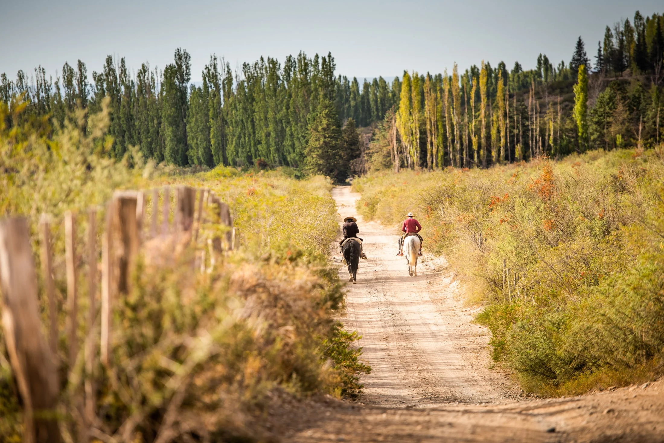 Landscape along Ruta 40, Argentina