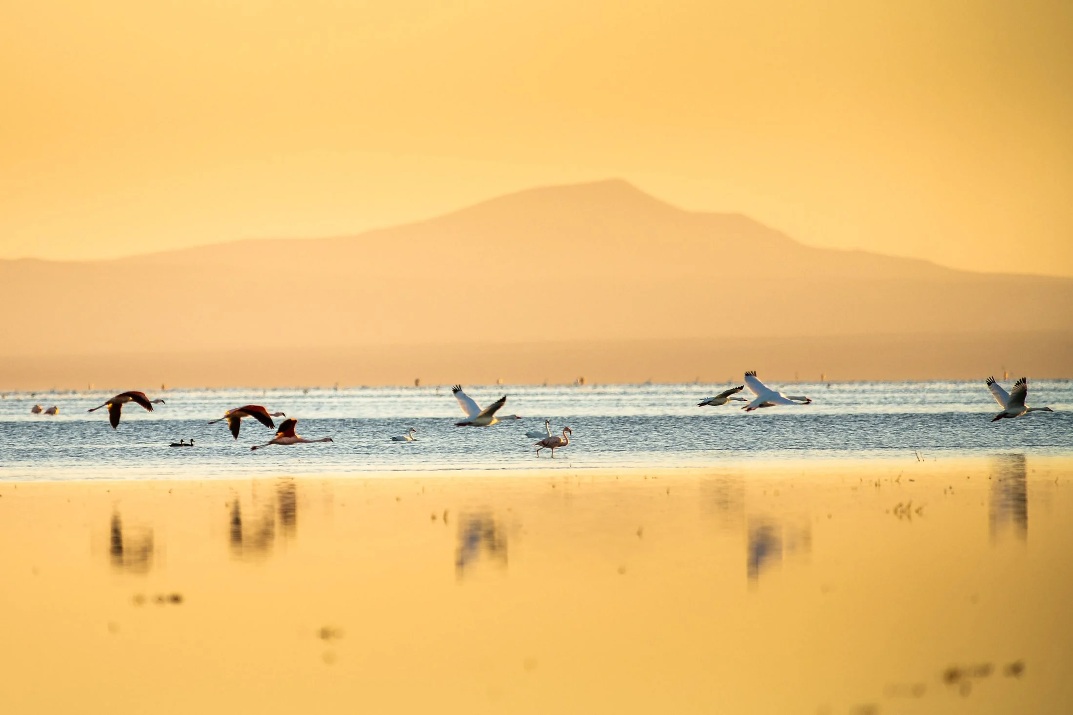 Landscape along Ruta 40, Argentina