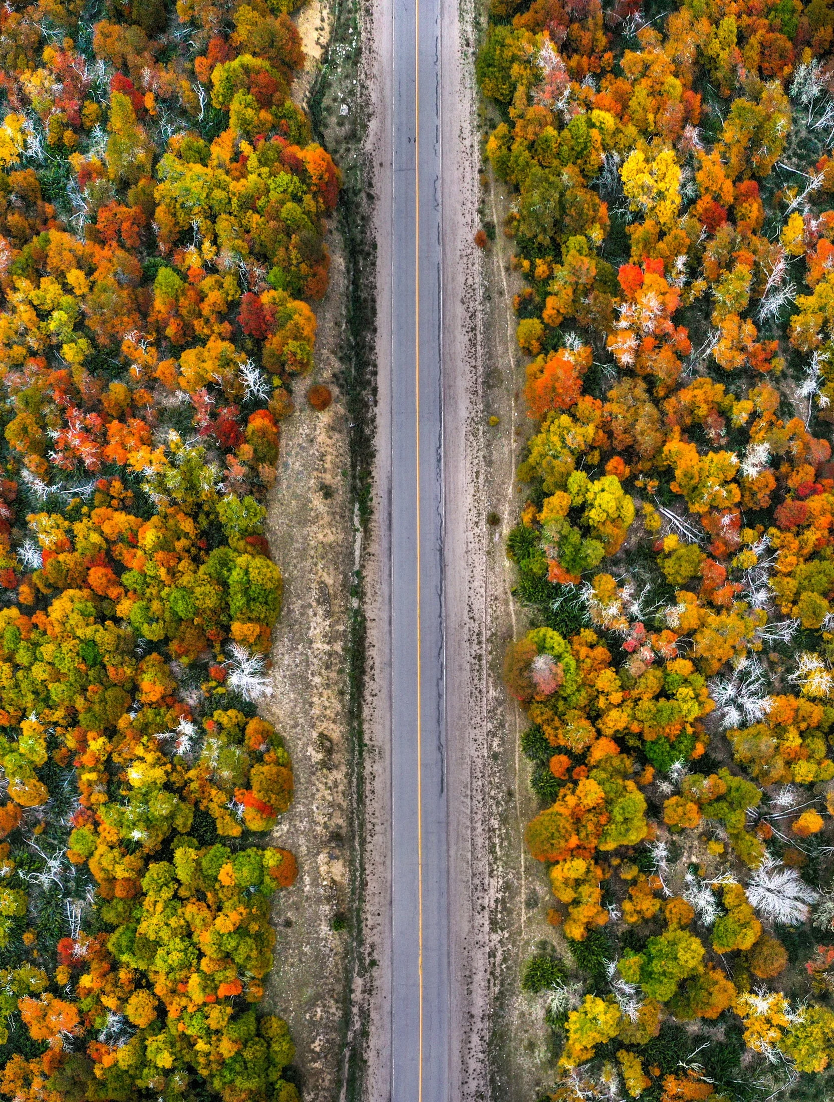 Landscape along Ruta 40, Argentina