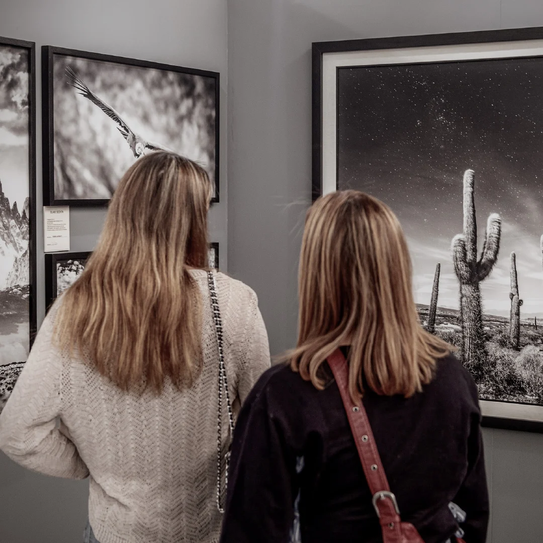 Elias Sedita exhibition 1