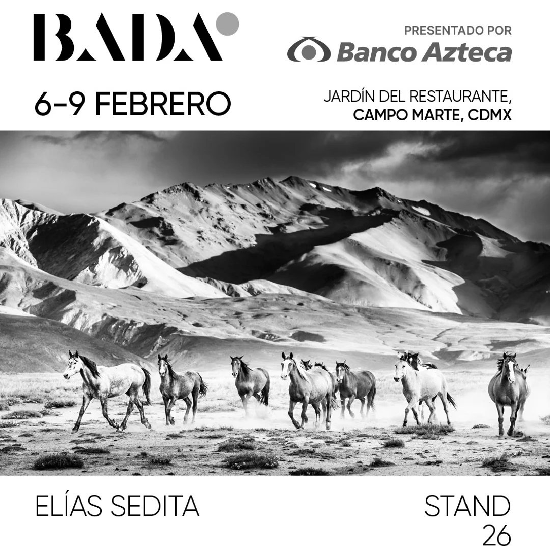 Elias Sedita exhibition 2