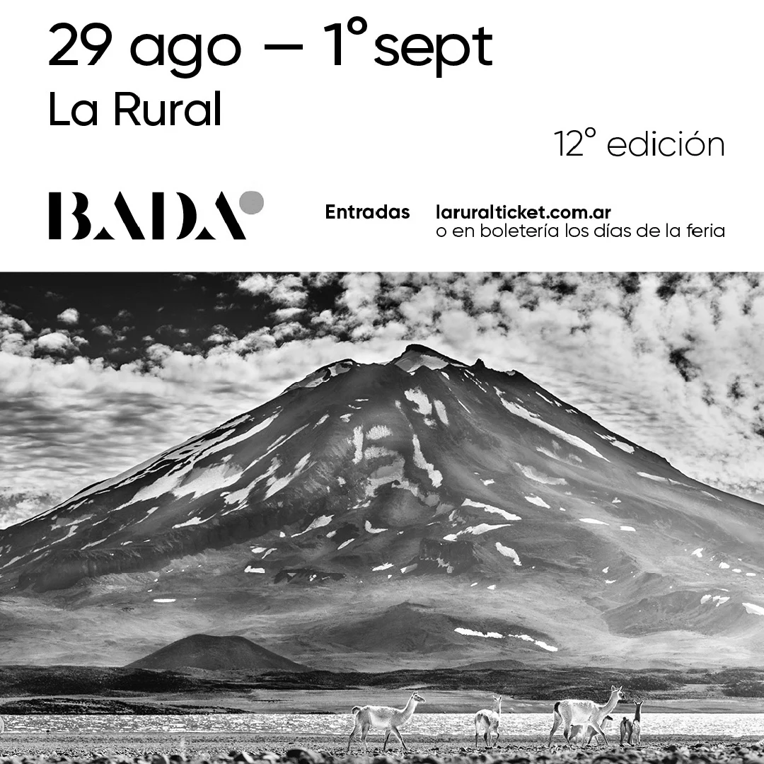 Elias Sedita exhibition 3