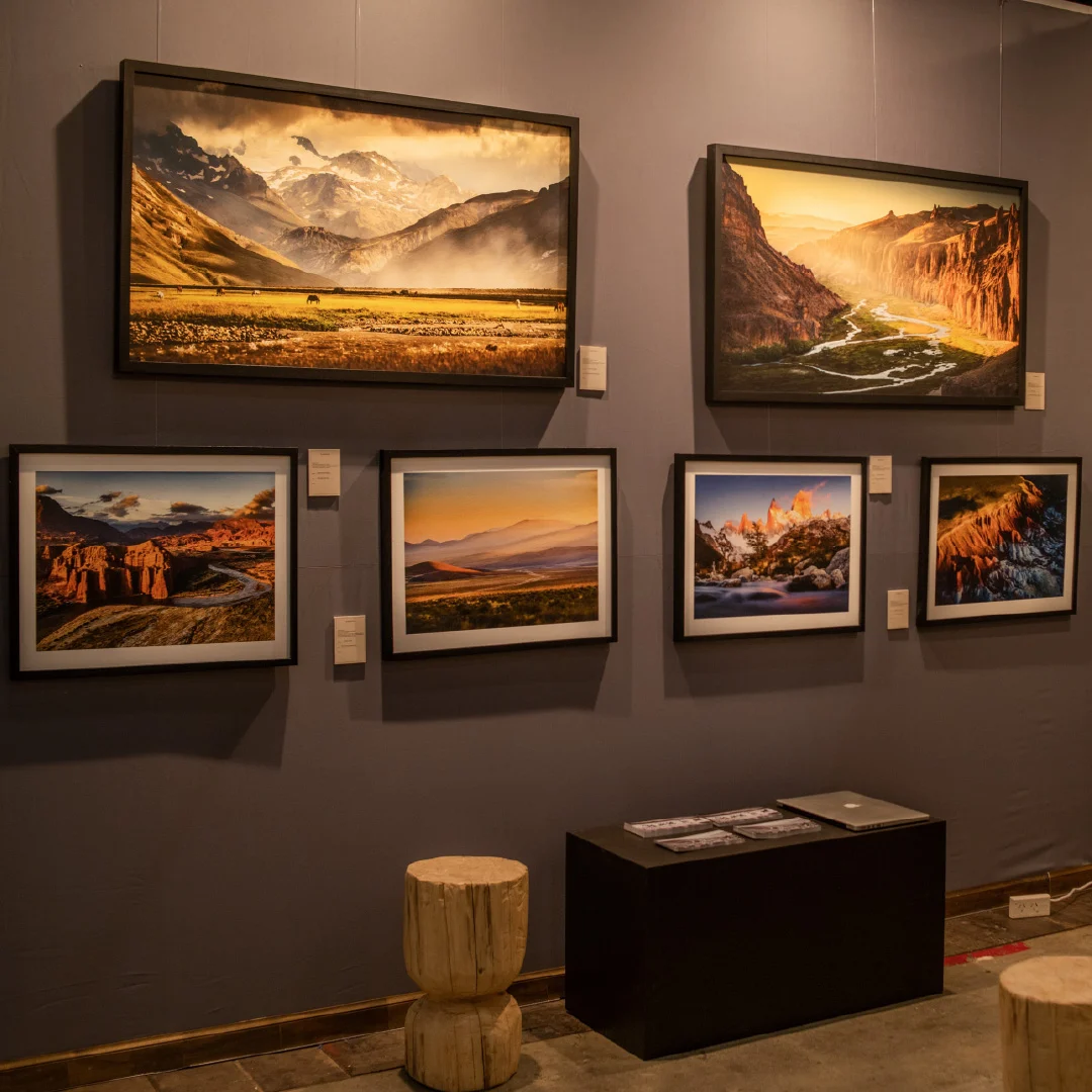 Elias Sedita exhibition 5
