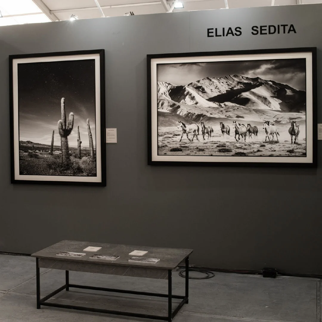 Elias Sedita exhibition 6